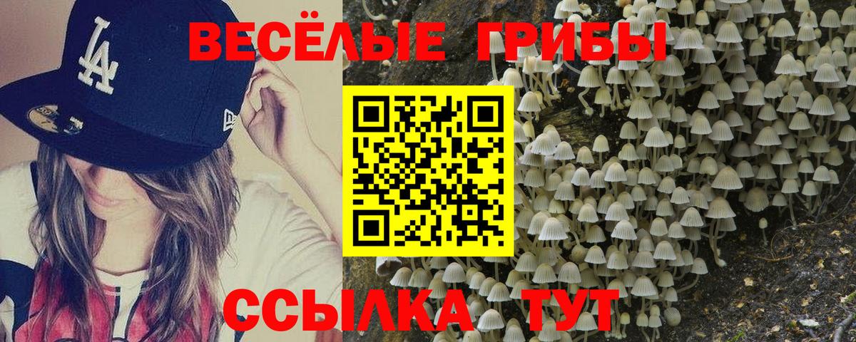 Лянтор  Галлюциногенные грибы Magic Shrooms  Вход с VPN 